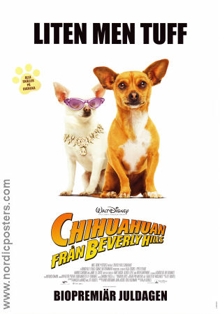 Chihuahuan från Beverly Hills 2009 movie poster Dogs