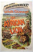 The African Lion 1955 poster 