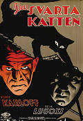 The Black Cat 1934 poster Boris Karloff Edgar G Ulmer