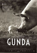 Gunda 2020 movie poster Victor Kossakovsky Documentaries