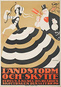 Landstorm och skytte 1916 poster 
